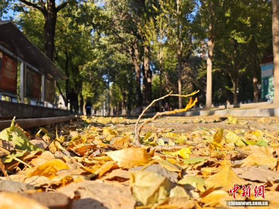 �S��54·��܉�܇�ؾ��h(hu��n)��������������߅�L(f��ng)ò������(j��)�����S���~䁝M·�������� ���z