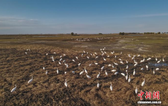 10��16�����ڼ���ĪĪ����Ҽ���Ȼ���o�^(q��)��(n��i)���Q����Ϣ��(�o�˙C��Ƭ)�w��� �z