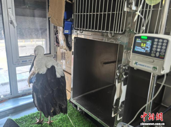 �܂��Ė|�����X���ڽ���ݔҺ�ί�����ʯ���� �z