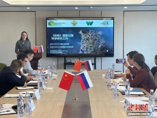 ���_˹���ҷ������o(h��)�|������(j��ng)�(y��n)�������� �z