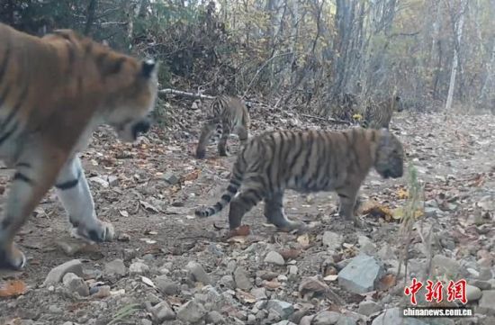 2025���ږ|���������ҹ��@�Ĕz���Ė|������(��ҕ��ý���D)