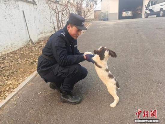 ���Ҳ������c�[�����B(y��ng)�H�ܶ�����ʯ���� �z