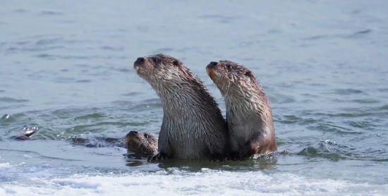 龍井市委宣傳部/供圖 龍井市委宣傳部/供圖