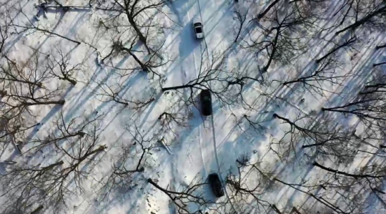 ���c���{܇��Խɭ���� �Ժ���ί���������D