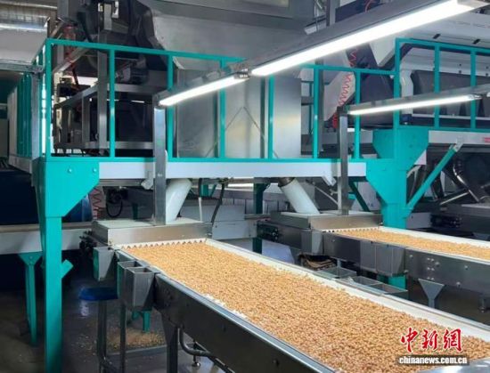 �������a(ch��n)����(�L�����P(gu��n)���D)