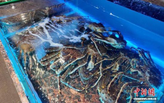 ���B(y��ng)����ĵ���з����߅��ί������ ���D