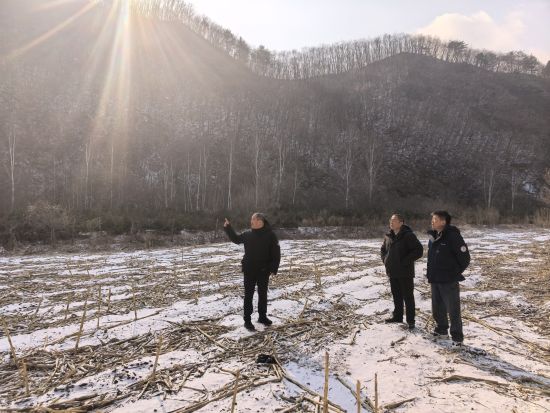 ������ί������/���D